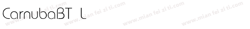 CarnubaBT Light字体转换